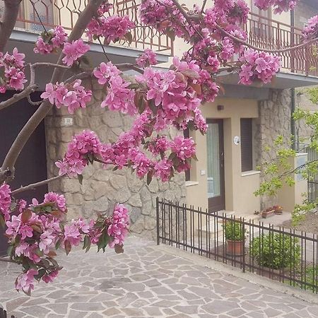 Ferienwohnung La Casina Di Nonna Giulia Castiglione dʼOrcia Exterior foto